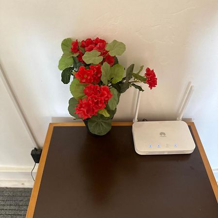 Rose View Guest House Lissabon Buitenkant foto